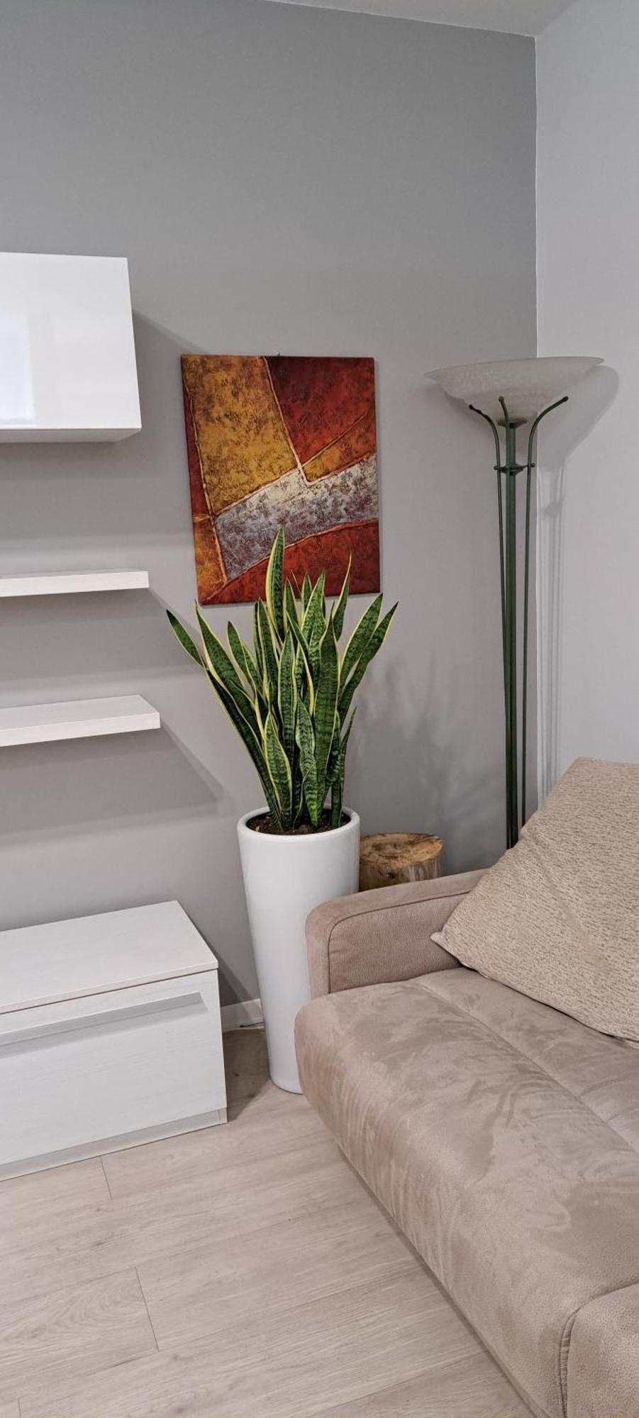 Marco Venice Apartment Экстерьер фото